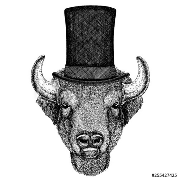 Meet your Posher, Sam - Picture 2 of 2